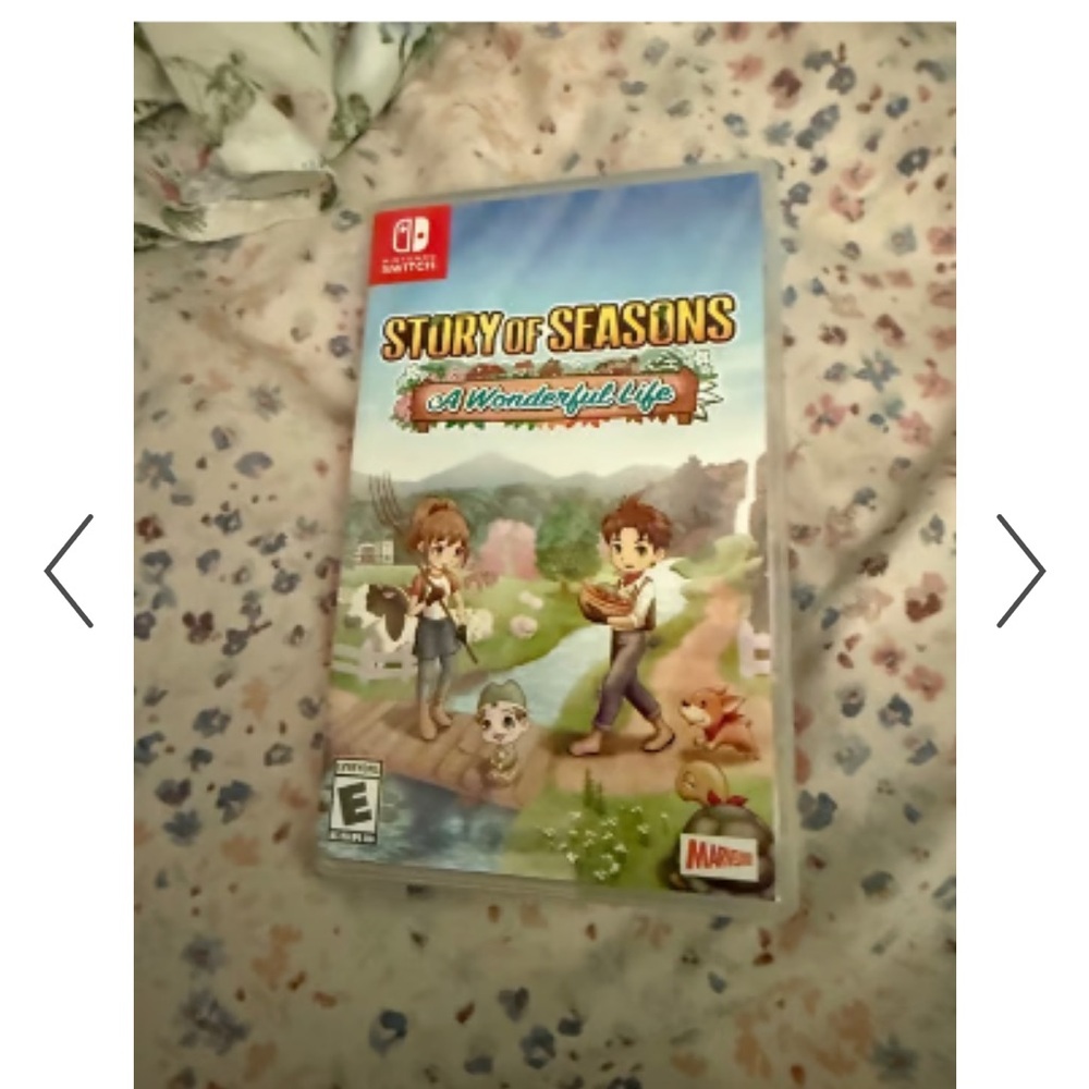 Nintendo Story of Seasons: A Wonderful Life - Colorful Adventure